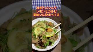 【すき家】ニンニクねぎ塩レモン牛カルビ丼 食べてみた