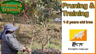 Pruning and Training : 1 - 2 years old fruit trees in Bhutan (Dzongkha language)