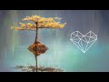 Mollono.Bass & Dole and Kom - Reflections [Deep House  3000Grad]