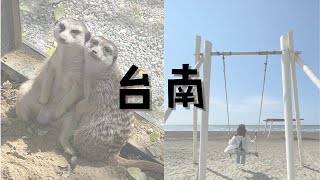 【台南VLOG】看狐獴吃早午餐、搭竹筏，踏踏浪療癒的一天