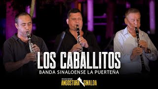 Los Caballitos (En Vivo) - Banda Sinaloense La Puerteña