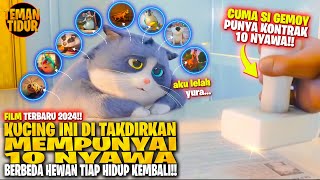 FILM TERBARU!! CUMA KUCING INI YANG PUNYA 10 NYAWA DI HIDUPNYA!! - ALUR CERITA 