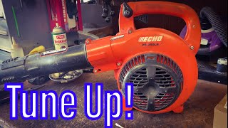 Echo PB250 Blower Full TuneUp