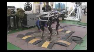 A quadruped Robot 'JINPOOG'