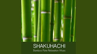 Shakuhachi Bamboo Flute