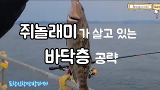 손맛좋고 맛도좋은 사이즈 좋은 쥐놀래미 잡아가세요!