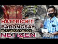 MURAI BATU BARONGSAI HARRY JEMPOL SF TASIKMALAYA HATTRICK!!!BUNGKAM MULUT NETIZEN