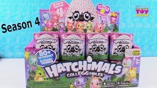 Hatchimals Season 4 CollEGGtibles Surprise Egg Full Box Opening | PSToyReviews