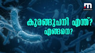 കുരങ്ങുപനി: എന്ത്? എങ്ങനെ? | Mathrubhumi News