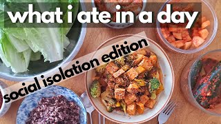 Chill Day of Eating (What I Ate in a Day Vegan Quarantine Edition)