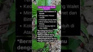 Semoga bermanfaat #shortsvideo #shortsviral #shorts