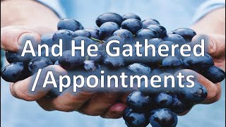 And He Gathered \u0026 Appointments/Torah Portions Vayakhel and Pekudei