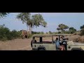 Mashatu Water Hole
