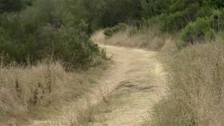 San Diego County Vector Control Issue Tic Warning