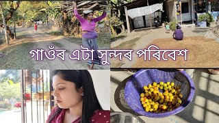 গাওঁৰ এটা বুজাব নোৱাৰা সুন্দৰ পৰিবেশ // ঘৰত আহি কি কৰিলো 🥰