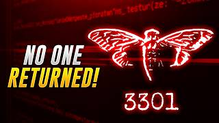 The Cicada 3301 Mystery No One Can Explain