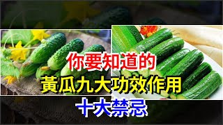 你要知道的，黃瓜九大功效作用十大禁忌，[健康之家]