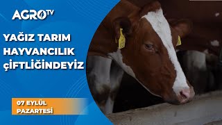 Yağız Tarım Hayvancılık Çiftliğindeyiz / Abi Nerdesin ? - Agro TV