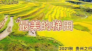 黔南州 龙里万亩金色稻浪  体验田间劳作的辛苦 感受收获的喜悦 eps 3