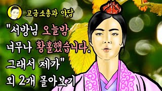 고금소총과 야담 “서방님 오늘밤 너무나 황홀했습니다.그래서 제가“외 2개 모아보기 몰아보기 (야사+야설+해학)