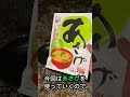 【5日目】ミミズ味噌汁とカブトムシ天ぷら shorts