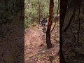 #mtb #mtblife