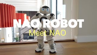 NAO ROBOT Meet NAO