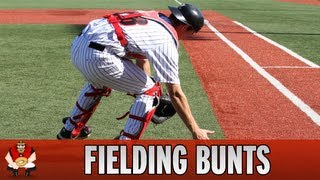 Catching 101 - Baseball Catchers Fielding Bunts