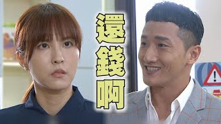 【三隻小豬的逆襲】EP42 關山上門討錢債務曝光 曉筠落淚跟爸道歉並原諒超感人