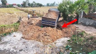 Incredible !! 5 ton truck almost overturned while transporting soil to the rescue pond by Excavator