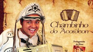 Chambinho do Acordeon Xote das meninas