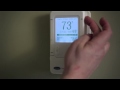 The Carrier Infinity Control (Thermostat) - Korte Does It All