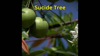 This Plant Is Very Toxic #youtubeshorts #youtube #ytshorts