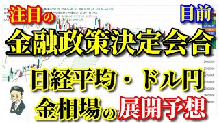 利上げ注目の日銀・金融政策決定会合を控えての日経平均・ドル円・金相場の動きは？