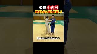 【失敗から学ぶ！】小内刈で投げれない理由を解説します。#柔道 #judo #投技 #立技 #小内刈 #shorts