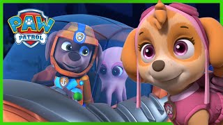 O Zuma e a Skye juntam-se! Resgates de animais e mais! - Patrulha Pata PAW Patrol Episódio Português