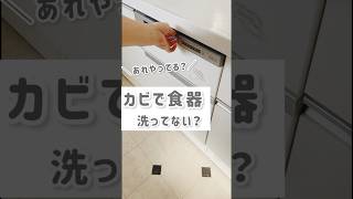 食洗機がGのすみかに…？！Gが好む環境は暗くて温かく、湿気がある場所！食洗機は全てクリアしています。月一の洗浄をお忘れなく♪ #shorts #暮らし #掃除 #キッチン