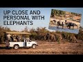 Safaris With Shearwater | Chobe National Park