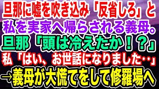 【スカッとする話】旦那に嘘を吹き込み「反省しろ」と私を実家へ帰らされる義母。まんまと踊らされた旦那「頭は冷えたか！？」私「はい、お世話になりました‥」→義母が大慌てをして修羅場へ【ゆっくり解説】