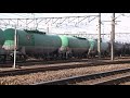 東海道本線－稲沢・清州　2010年2月なつかし映像　ef65　ef66 ０番　ef66 100番　ef200　ef210　dd51　de10