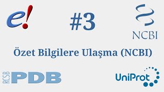 Biyolojik Veritabanları | #3 | NCBI | Özet Bilgilere Ulaşma