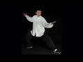 2. Tai Chi demonstration by Dmitry Prosvirov