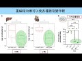 去除表觀遺傳分子噪音、長壽