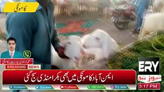 Like other cities in Pakistan, a goat market was set up in Gujranwala Aymanabad Kamonki