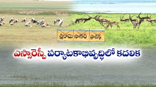 Sri Ramsagar Is A Step Towards Tourism Development | శ్రీరాంసాగర్ పర్యాటక అభివృద్ధి దిశగా ముందడుగు