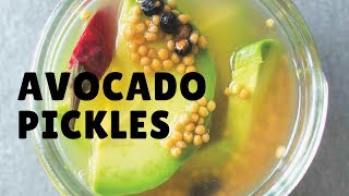 How to make Avocado Pickles updated 2017