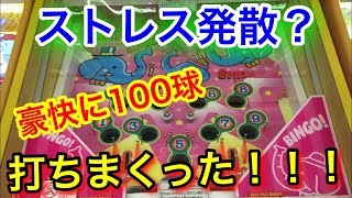 ビンゴを揃えるメダルゲームに100枚無駄撃ちしたらふえるのか！？