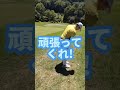 ゴルフラウンドにて彼の得意距離 10yard～20yard アプローチを硬いグリーンにオン出来るか！？