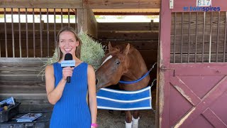 Spotlight - Highway Robber - Kentucky Downs Turf Cup (GII)