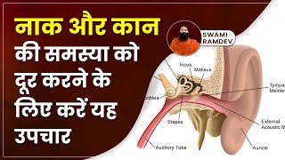 नाक (Nose) और कान (Ear) की समस्या (Problem) को दूर करने के लिए करें यह उपचार || Swami Ramdev